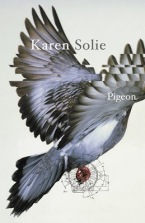Pigeon final1